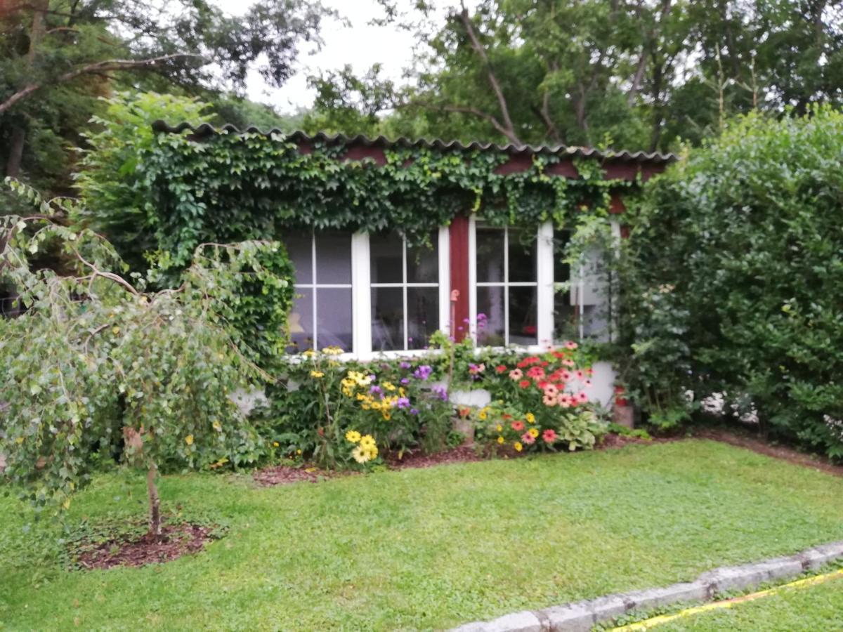 Ferienhaeuschen Gruber Villa Loosdorf Екстериор снимка