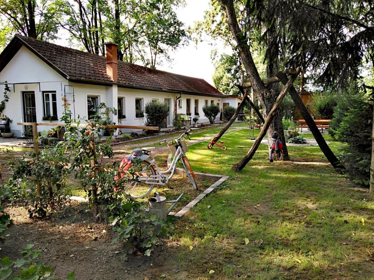 Ferienhaeuschen Gruber Villa Loosdorf Екстериор снимка